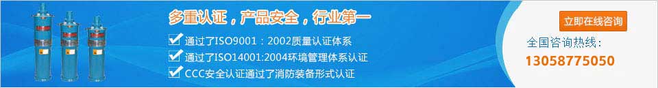 上海潛水泵18年水泵設備檢修經(jīng)驗的專業(yè)技術服務人員_竭誠為您服務